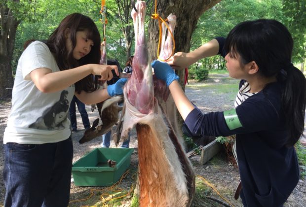 捕って！さばいて！食べる！猟師によるジビエ体感ツアー ～鹿の解体、贅沢な鹿しゃぶ鍋まで～ | 大ナゴヤツアーズ DAI NAGOYA TOURS