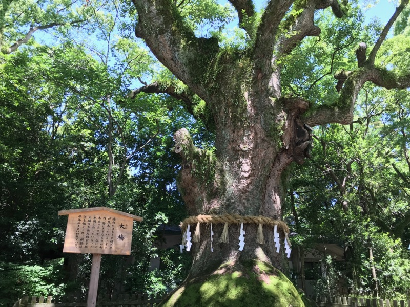 毎月1日は あつた朔日参り 熱田神宮じっくりご参拝ツアー 創祀1900年の熱田神宮 色々な神様へご挨拶 正しい作法など学びながらご参拝 大ナゴヤツアーズ Dai Nagoya Tours
