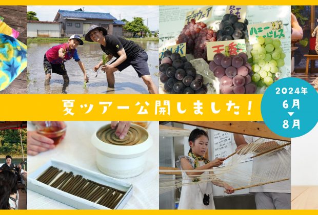 なつみかん　名古屋市近郊限定手渡のみ名古屋市中村、北区配送無料 2024年夏ツアー公開しました！［※7/12更新］ | 大ナゴヤツアーズ DAI