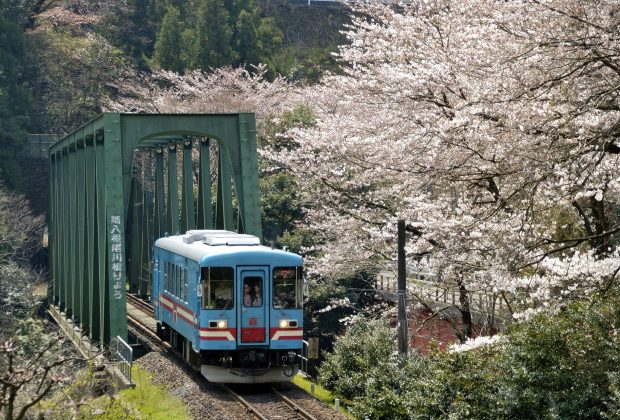 tarumi_01-620x420.jpg