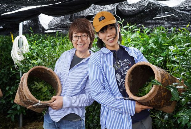 新茶・豊田】自然仕立ての茶園「高香園」お茶摘み＆日本茶大満喫ツアー