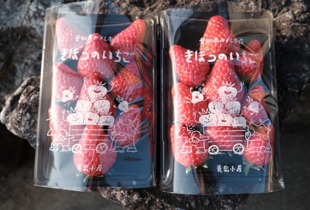 かわいやいちご様*. 専用ページ☺︎ 八千代店、古河店、新商品入荷しました 各品種販売用いちごございます
